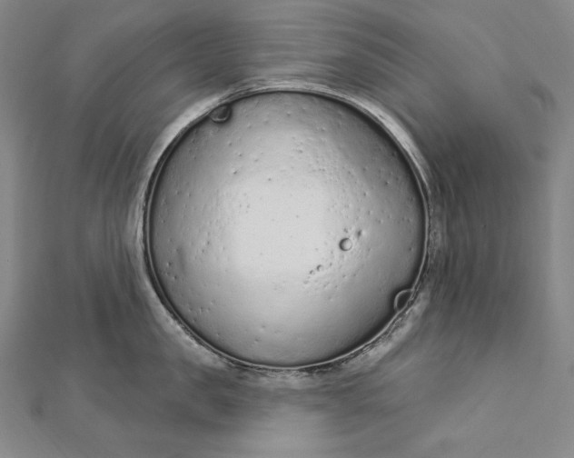 X0000112780957200909031626