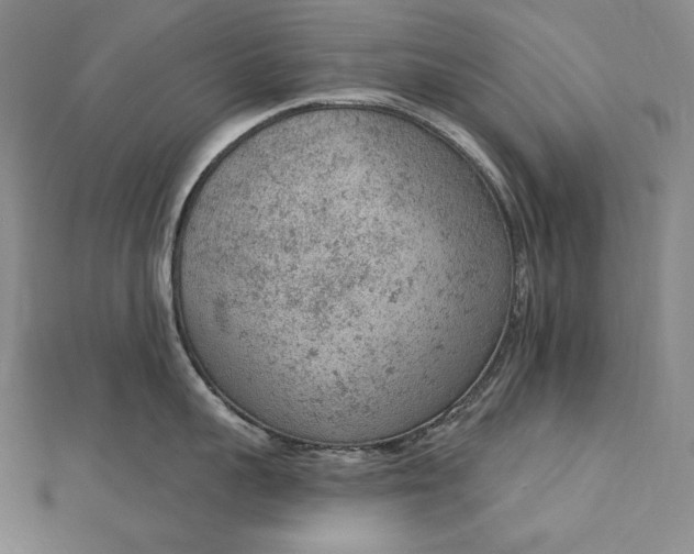 X0000112780959200909031626