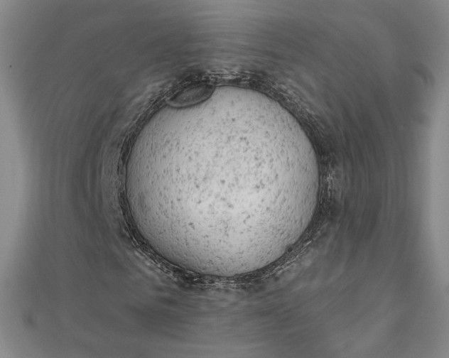 X0000112780961200909031626