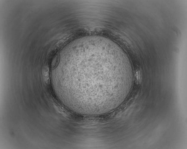 X0000112780963200909031626