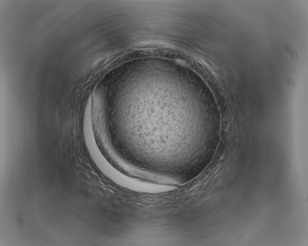 X0000112780965200909031626