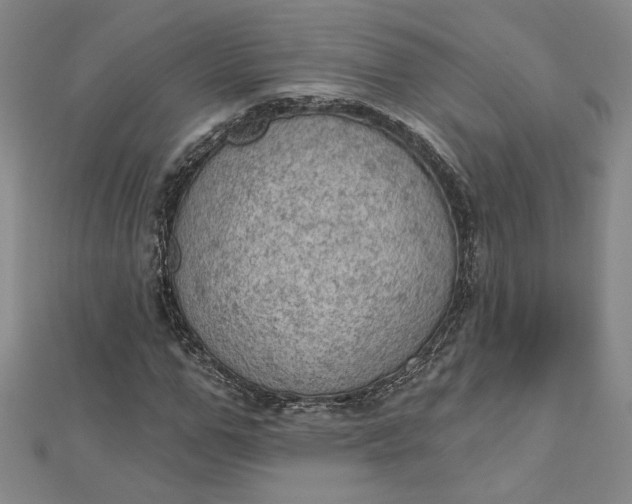 X0000112780967200909031626