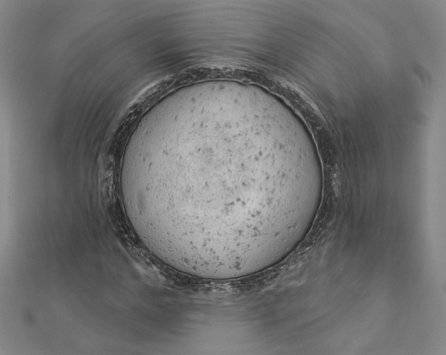 X0000112780968200909031626