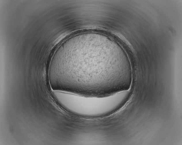 X0000112780969200909031626