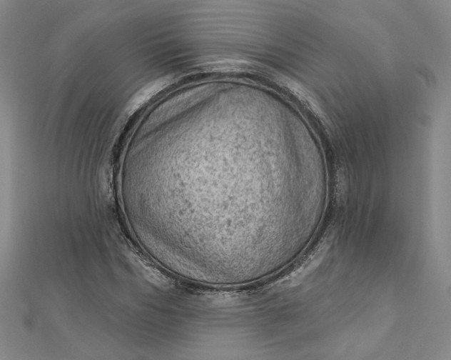 X0000112780970200909031626