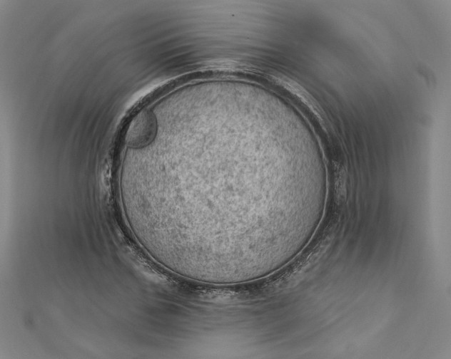 X0000112780971200909031626