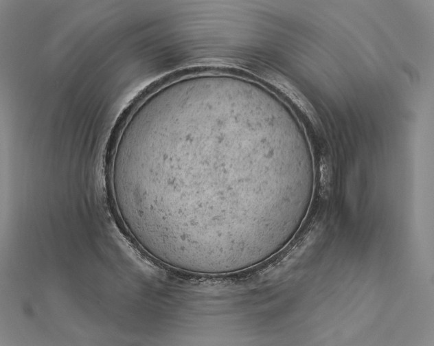 X0000112780972200909031626