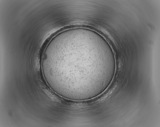 X0000112780973200909031626