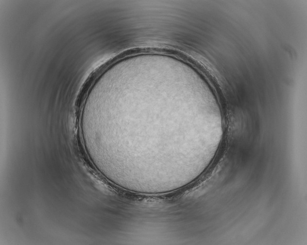 X0000112780974200909031626