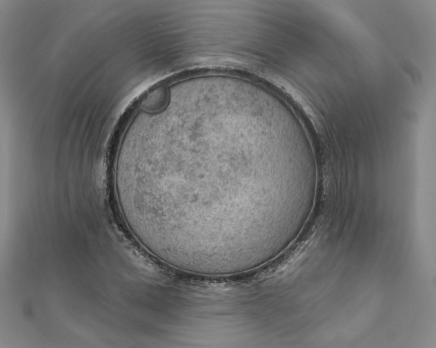 X0000112780975200909031626