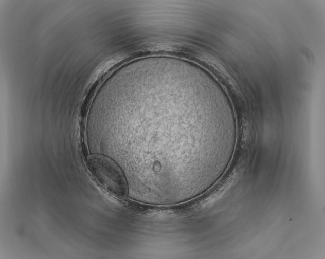 X0000112780978200909031626