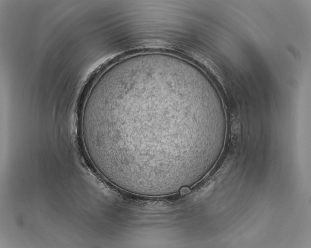 X0000112780979200909031626