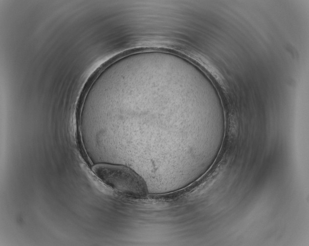 X0000112780980200909031626