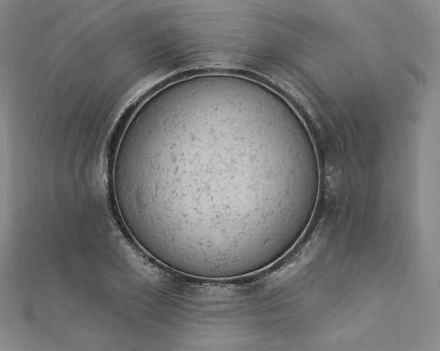 X0000112780981200909031626