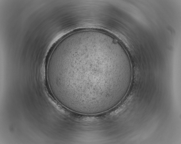 X0000112780982200909031626