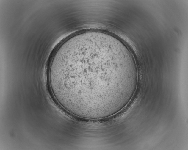 X0000112780983200909031626