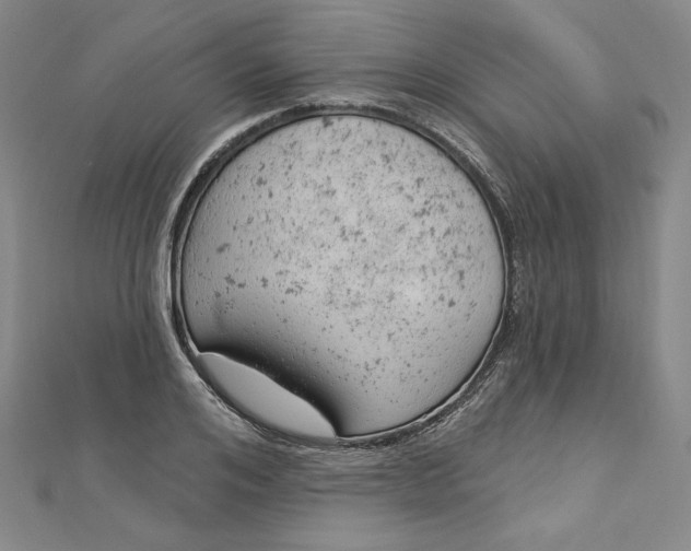 X0000112780984200909031626