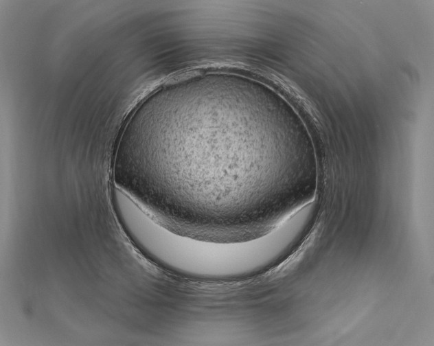 X0000112780985200909031626