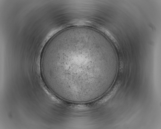 X0000112780986200909031626