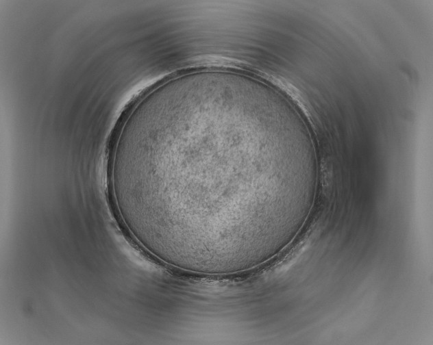 X0000112780987200909031626