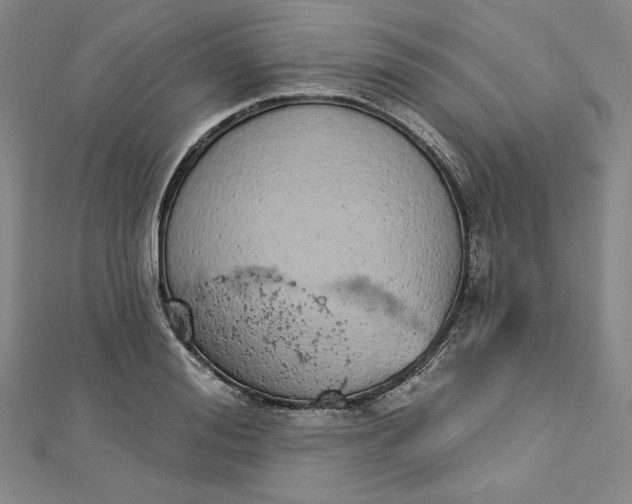 X0000112780988200909031626