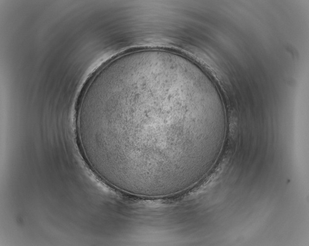 X0000112780990200909031625