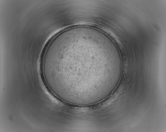 X0000112780991200909031625