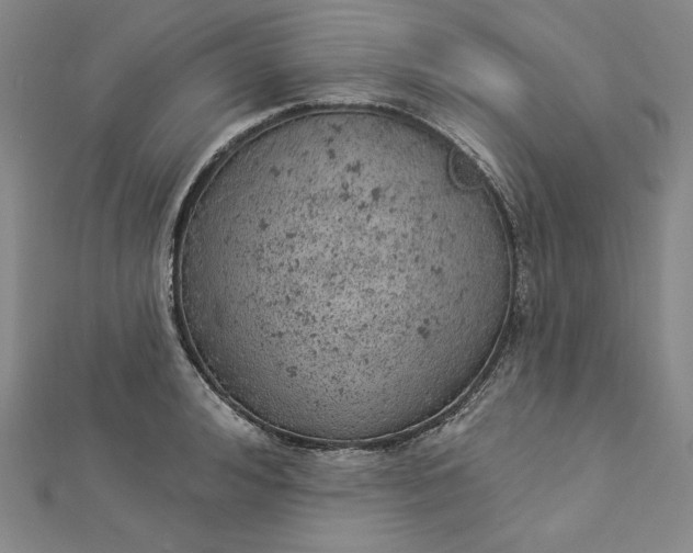 X0000112780992200909031625