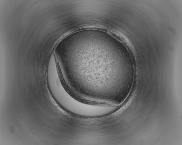 X0000112780993200909031625