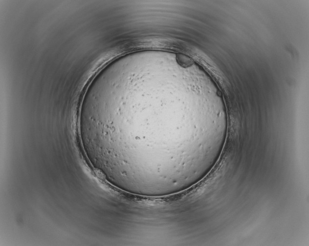 X0000112780994200909031625