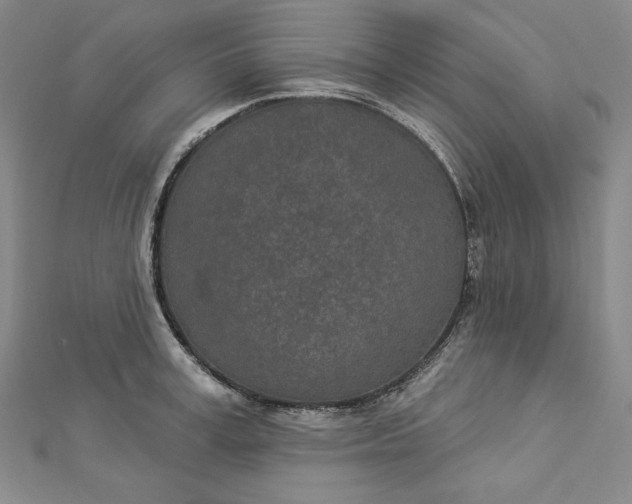 X0000112780995200909031625