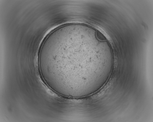 X0000112780996200909031625