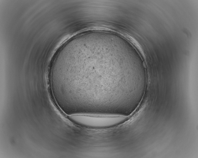 X0000112780997200909031625