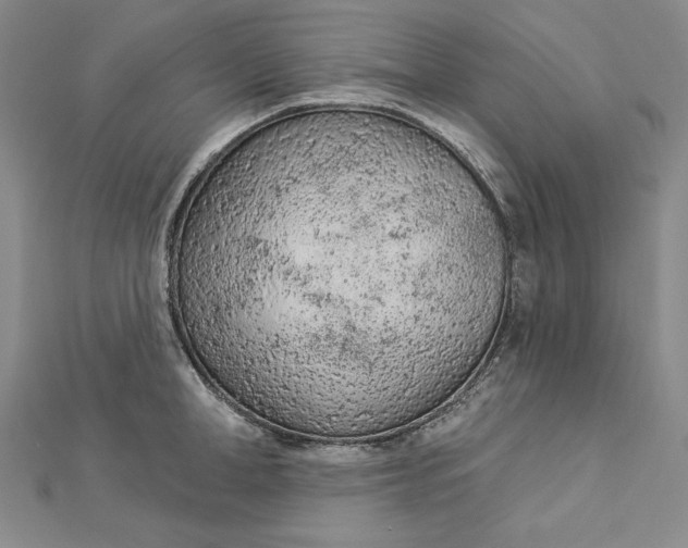 X0000112780998200909031625