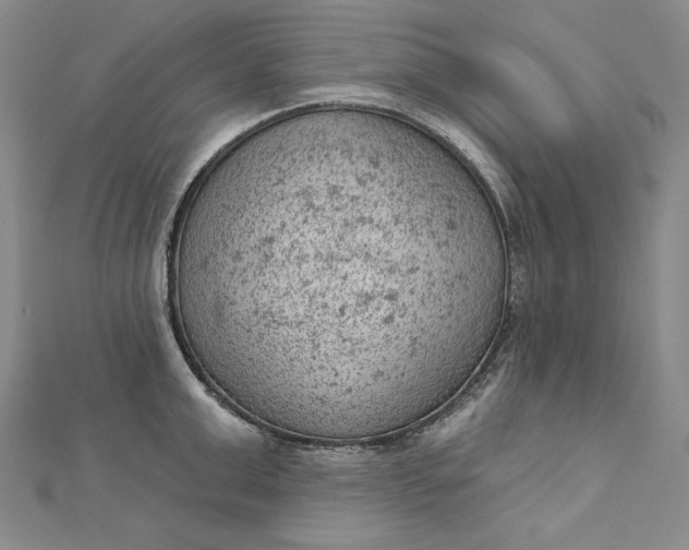 X0000112780999200909031625