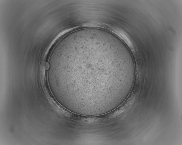 X0000112781000200909031625