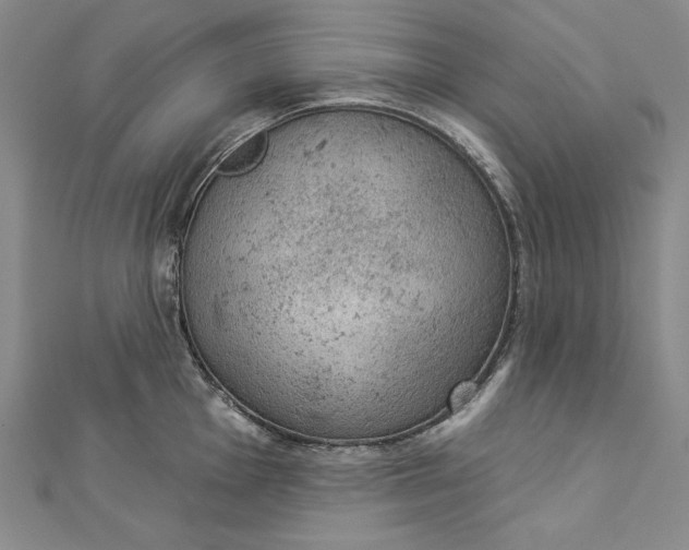 X0000112781001200909031625