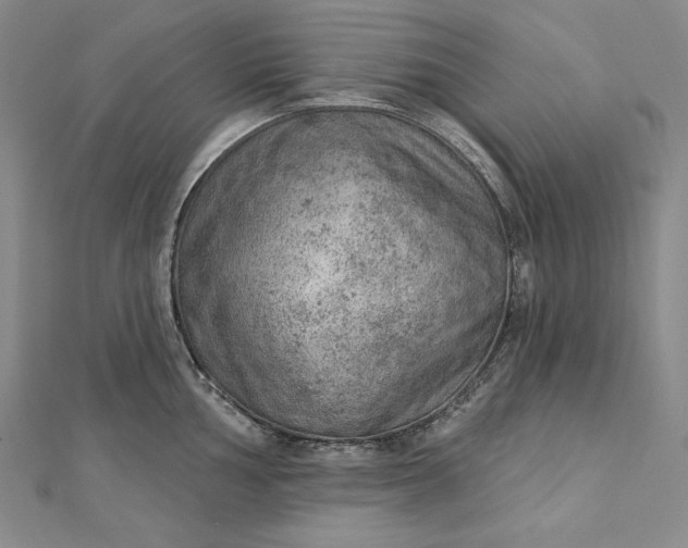 X0000112781002200909031625