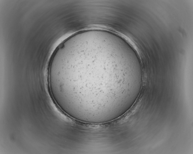 X0000112781003200909031625