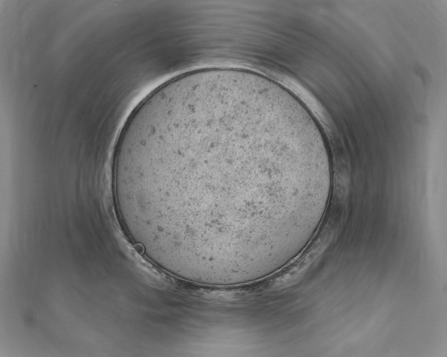 X0000112781004200909031625