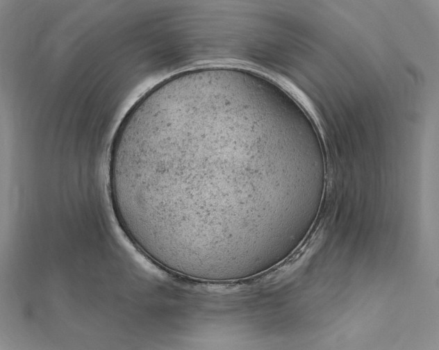 X0000112781005200909031625