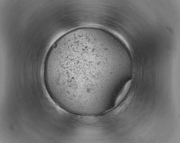 X0000112781007200909031625