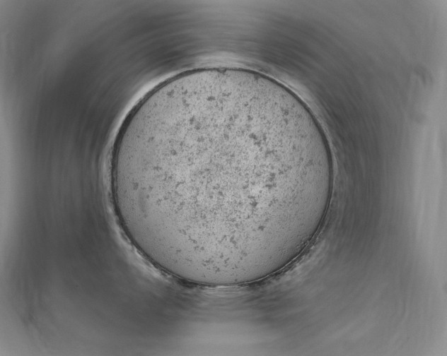 X0000112781008200909031625