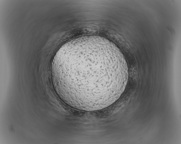 X0000112781009200909031625