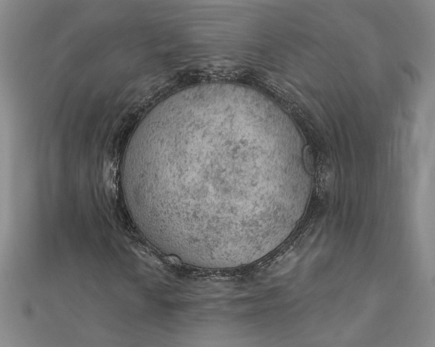 X0000112781010200909031625