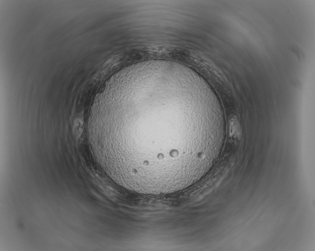 X0000112781011200909031625