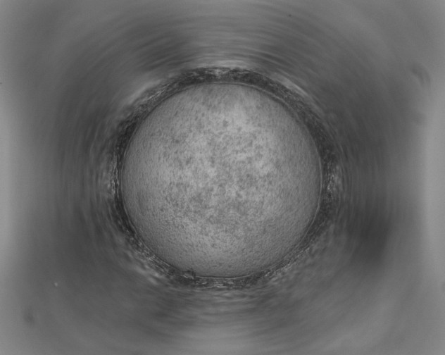 X0000112781014200909031625