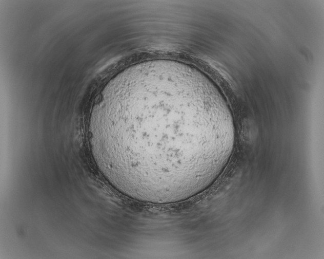 X0000112781015200909031625