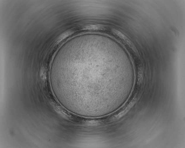 X0000112781017200909031625