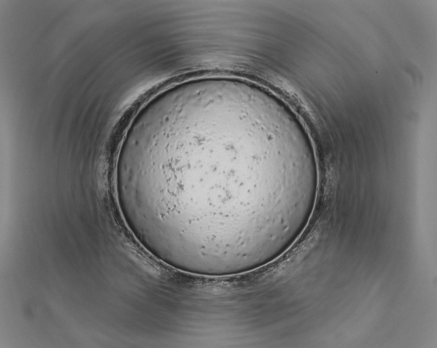 X0000112781019200909031625